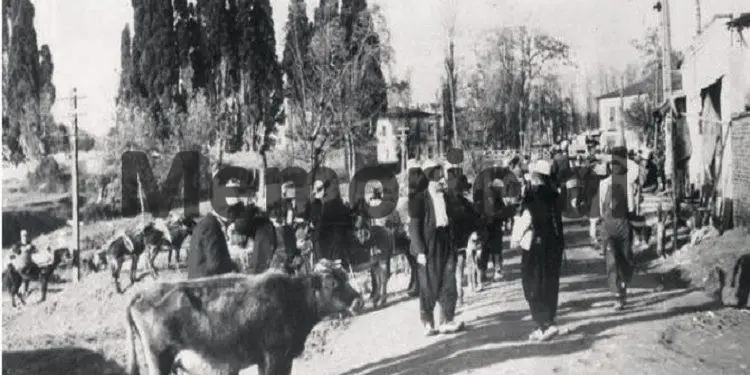 Unknown report: “In Tirana, water is brought by donkey, but everyone had their shoes polished, because”. “/ How did the Romanian journalist see the capital in 1933?