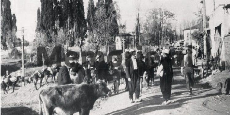 “Në Tiranë ujin e sillnin me gomar, por të gjithë i kishin këpucët të lustruara, sepse….”/ Si e pa gazetari rumun kryeqytetin në 1933-in?