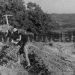 The French magazine L’EUROPE CENTRALE in ’34: Durrës with its castle, antiquity parks and the coast, amazed the senator of Lyon, Justin Godard …