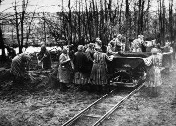 “Mjeku gjerman, Schumann, i quajtur ‘profesor’, kryente operacione eksperimentale me rreze X, duke sterilizuar herbrenjtë…”/ Dëshmitë e rralla të Kazimierz Smolen