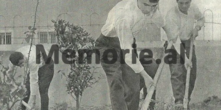 “Bashkatdhetarët e mi nga Kosova në kampe e burgje dhe akademisti Januz Blakçori nga Istogu, të cilin Enveri dhe Mehmeti…”/ Dëshmitë e rralla të kosovarit që vuajti 20 vjet