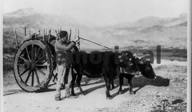 ‘When the National Bank of Albania with the co-director, the Italian Gradudenzi, published the satisfactory financial balance sheets, which had come from …’ / The Monarchy Press in 1938