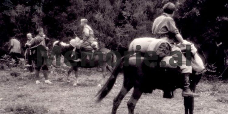 “Në Napoli na priti vetë Duçja, i cili pasi shprehu falenderimin për vendet tona, na…”/ Kujtimet e panjohura të oficerit shqiptar që vëzhgoi luftën e Abisinisë