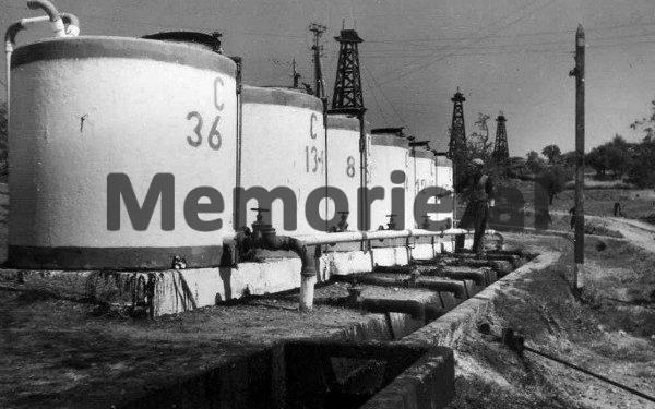 “Banka Kombëtare e Shqipërisë është bërë si ‘Dullë Huta’ tregtari fajdexhi tiranas, që…”/ Kriza e thellë ekonomike në periudhën e Monarkisë së Zogut