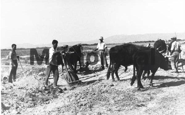 “Banka Kombëtare e Shqipërisë është bërë si ‘Dullë Huta’ tregtari fajdexhi tiranas, që…”/ Kriza e thellë ekonomike në periudhën e Monarkisë së Zogut