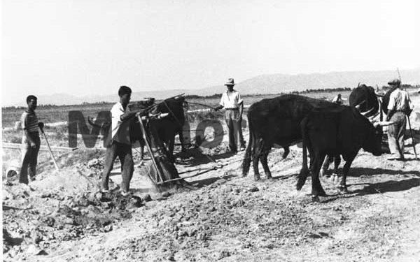‘When the National Bank of Albania with the co-director, the Italian Gradudenzi, published the satisfactory financial balance sheets, which had come from …’ / The Monarchy Press in 1938