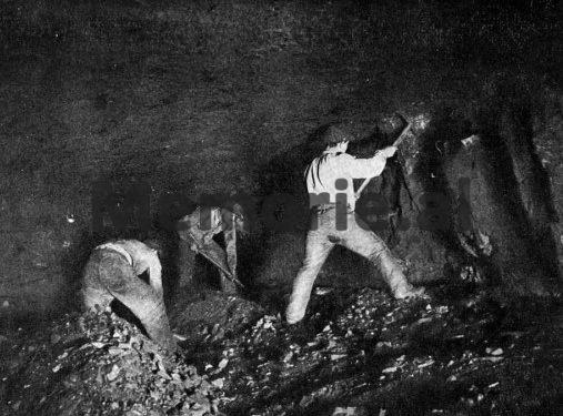 Monarkia e Zogut, koha e artë e tregtisë, kur shqiptarët eksportonin në Itali, Greqi, Jugosllavi, SHBA-ve, Çekosllovaki, Angli, Francë, Zvicër, Egjipt, Gjermani., etj.