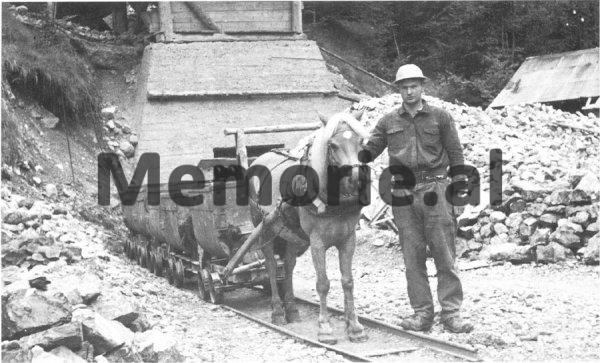 ‘When the National Bank of Albania with the co-director, the Italian Gradudenzi, published the satisfactory financial balance sheets, which had come from …’ / The Monarchy Press in 1938