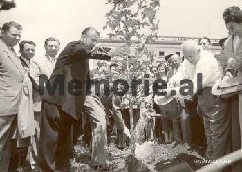 “Na masin pulsin, nëse do t’i mbajmë katër nëndetëset që na përkasin dhe roja sovjetike u ktheu automatikun marinarëve tanë…”/ Ditari sekret i Enverit, mars 1961