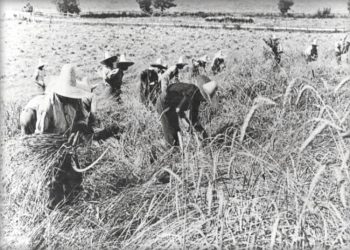 “Jo, shokë, ne nuk duhet të ndjekim ‘rrugën e Evropës’, përkundrazi është Evropa që duhet të ndjekë rrugën tonë…”/ Fjala e panjohur e Enver Hoxhës më 23 shkurt ‘73