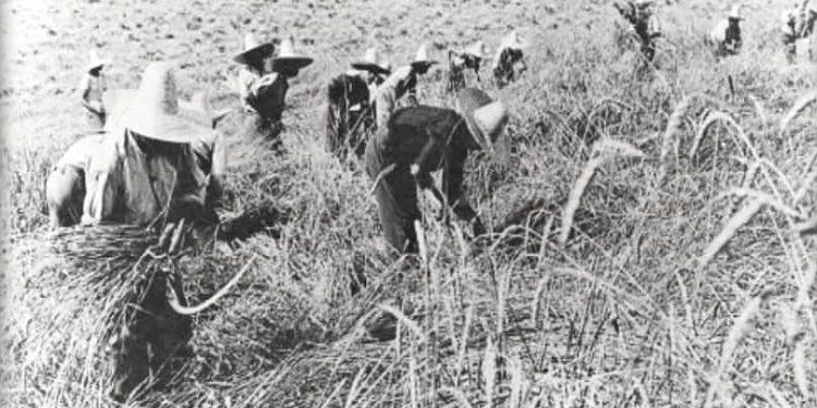 “Jo, shokë, ne nuk duhet të ndjekim ‘rrugën e Evropës’, përkundrazi është Evropa që duhet të ndjekë rrugën tonë…”/ Fjala e panjohur e Enver Hoxhës më 23 shkurt ‘73
