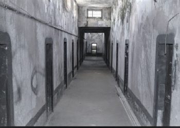 “At the Përmet Congress he spoke against the star on the flag, Enver asked Omer Nishani…” / The tragic story of the Tepelena partisan commander, who was executed along with 12 others in ’48