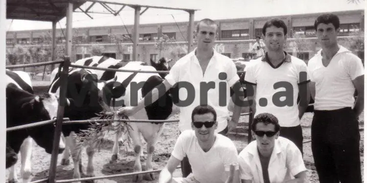 “Nga takimet miqësore me Republikën Popullore të Kinës, te ndeshjet e mëdha me Gjermaninë Perëndimore, Poloninë, Turqinë dhe…”/ Fotot të pa publikuara