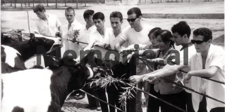 “Nga takimet miqësore me Republikën Popullore të Kinës, te ndeshjet e mëdha me Gjermaninë Perëndimore, Poloninë, Turqinë dhe…”/ Fotot të pa publikuara