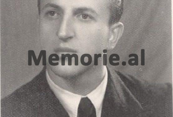 “Gjatë protestave para Radios së Budapestit, një ushtar rus me goditi me bajonetë dhe unë…”/ Dëshmia e rrallë e ish studentit shqiptar që morri pjesë në ngjarjet e Hungarisë në ’56-ën