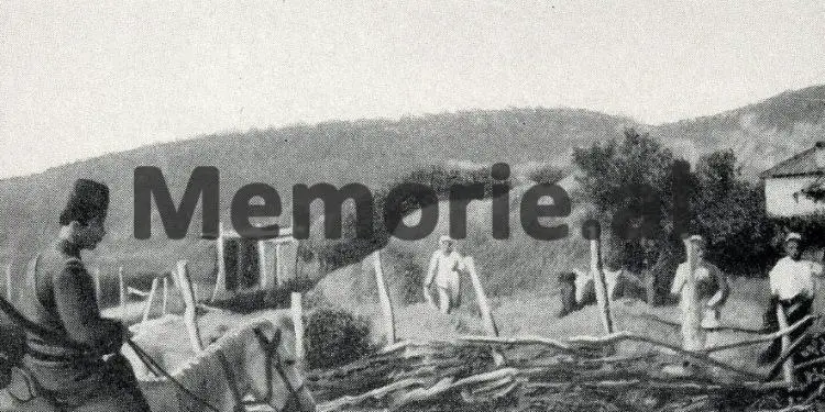 “Ata qi udhëtojnë jashtë viseve të Mbretnisë ottomane, janë të lirë në marrjen e pasaportës, por ata qi janë në kërkim policor…”/ Si jepeshin nënshtetësitë dhe leje-kalimet në Shqipëri, që nga viti 1838