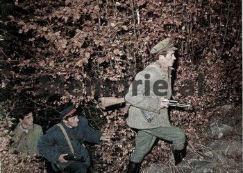 Letra për Enverin: “Në pikën kufitare Zogaj, edhe pse pesë herë u ndez prozhektori, dy armiq nuk u zbuluan dhe të asgjesoheshin…”/ Raporti sekret i Feçor Shehut në 1980-ën