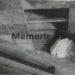 Armet e futura ne Katedralen e Shkodres 1946