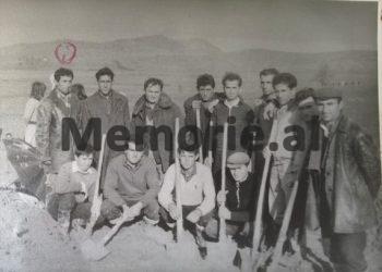 “Në gusht 1975, kanë menduar për të helmuar bagëtitë, fillimisht në stallën e kooperativës bujqësore të Mumajesit dhe…”/ Dosja gjyqësore e “Grupit sabotator të Baldushkut”