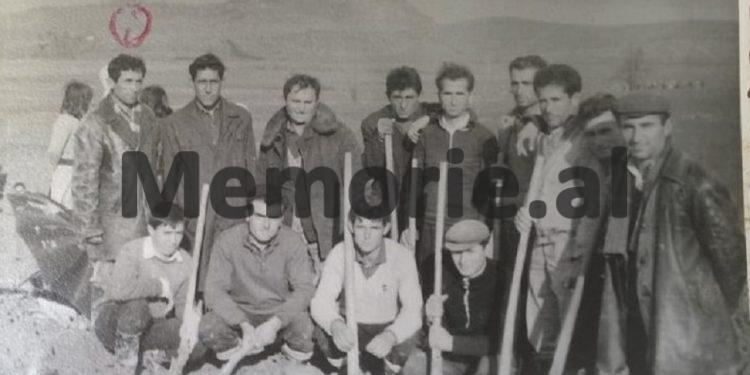 “Në gusht 1975, kanë menduar për të helmuar bagëtitë, fillimisht në stallën e kooperativës bujqësore të Mumajesit dhe…”/ Dosja gjyqësore e “Grupit sabotator të Baldushkut”