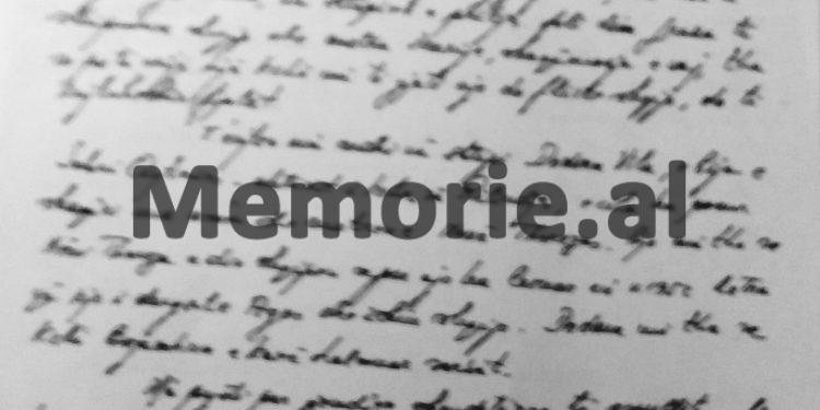 “Edhe pse Nënë Tereza thoshte se nuk dinte shqip, ajo kuptonte shumë mirë, kurse shoqëruesja e saj e mbajti të fshehur aparatin fotografik dhe …”/ Dosja sekrete e vizitës në gusht’89