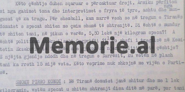 Ramiz Alia në mbledhjen e Byrosë: “Kadare të mbajë qëndrim për ngjarjet e 2 korrikut të ambasadave, ose të dalë në anën e armikut…”/ Çfarë thanë për shkrimtarin e njohur, Bashkurti dhe Xhelil Gjoni?