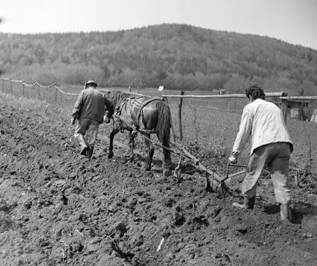 Diskutimi i Enverit në mbledhjen e Byrosë Politike: “Ti Ramadan Xhangolli, je një fodull i rrezikshëm dhe nën drejtimin tënd Korça ka….”/ Akuzat ndaj Sekretarit të Komitetit të Partisë
