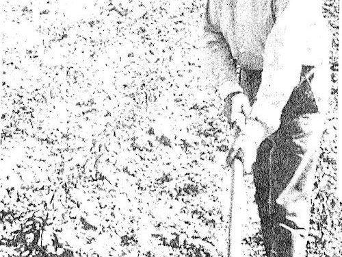 Relacioni për Ramiz Alinë në ’73-in: “Vjersha ‘Lumi’ e Sadik Bejkos e botuar te gazeta ‘Drita’, është e errët, kontradiktore dhe…”/ Raporti i shefit të Shtëpisë Botuese për poetët me ‘gabime ideore’