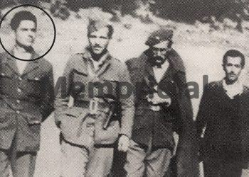 “A Greek plane flying in the villages of Hoxhaj and Markat, was shot down by Albanian forces in the area of Finiq and the pilot …” / How did the Tirana press convey, “The provocations of August ’49”?