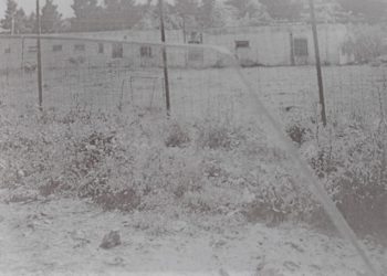 “Gjatë punës në fusha, ne detyroheshim të mblidhnim lloj-lloj barishtes, për të shuar urinë…”/ Historia tragjike e grave ruse, në burgun e e Kosovës së Lushnjes