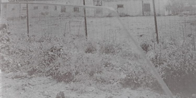 “Gjatë punës në fusha, ne detyroheshim të mblidhnim lloj-lloj barishtes, për të shuar urinë…”/ Historia tragjike e grave ruse, në burgun e e Kosovës së Lushnjes