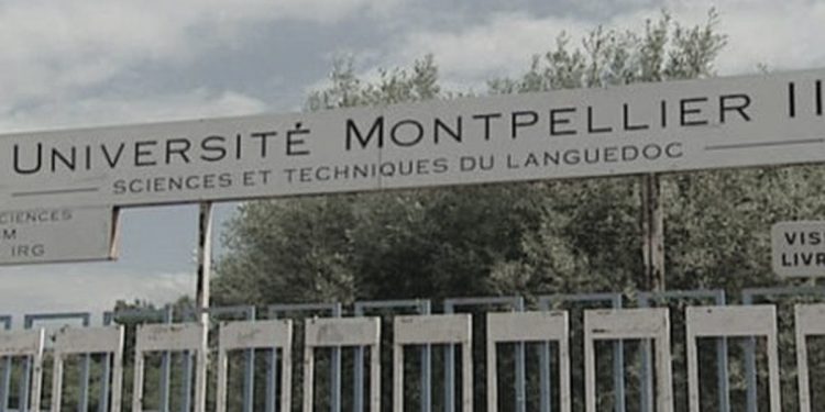 “Në Liceun e Korçës, botonte poezi dhe përkthente Balzakun e Lamartine, por u diplomua për matematikë në Montpelje…”/ Historia e panjohur e ‘Harry Fultzit’, shqiptar, që drejtoi për 22 vjet ‘Polikumin’ në Tiranë