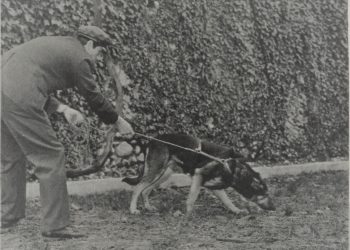 The truth of the conflict with the ‘assassin of Enver Hoxha’, in April ’75: “I was not infiltrated by Kadri Hazbiu, but I hit Banushi at the clone near Hani i Hotit, because…” / Rare testimony from US