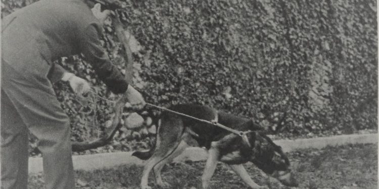 E vërteta e konfliktit me ‘atentatorin e Enver Hoxhës’, në prillin e ’75-ës: “Unë s’isha i infiltruar nga Kadri Hazbiu, por Banushin e godita tek kloni afër Hanit të Hotit, pasi…”/ Dëshmia e rrallë nga SHBA