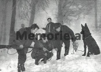 Rare testimony of the Albanian-American: “How we escaped with Avdul Banushi to the Yugoslav police in Dubrovnik and our meetings in Greece with two well-known Albanians…” / Secret missions in ’75