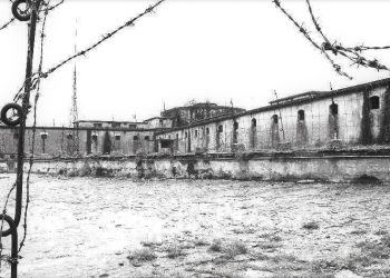 Dëshmia e ish-shefit të Zbulimit: “Pas dënimit, i shkova Banushit në burgun e Burrelit dhe kur i kërkova që ta nxjerrim jashtë e të punonte për ne, ai më tha…”/ Historia e rrallë me ish-agjentin e CIA-s