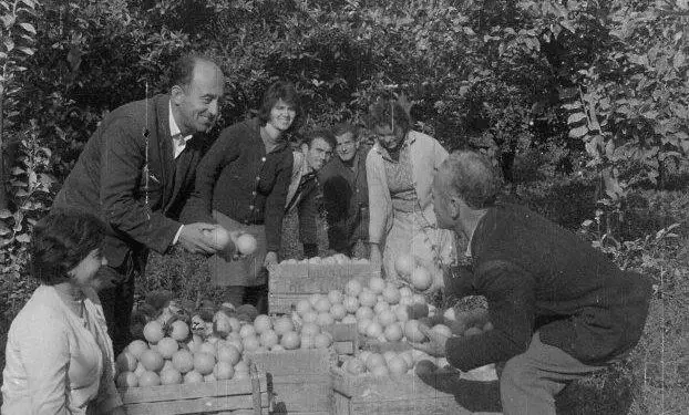 “Fati tragjik i kolegut gazetar te ‘Zëri i popullit’, pasi e kritikoi Enver Hoxha për shkrimin e…”/ Kujtimet e gazetarit të Radio-Tirana dhe ‘RD’-së