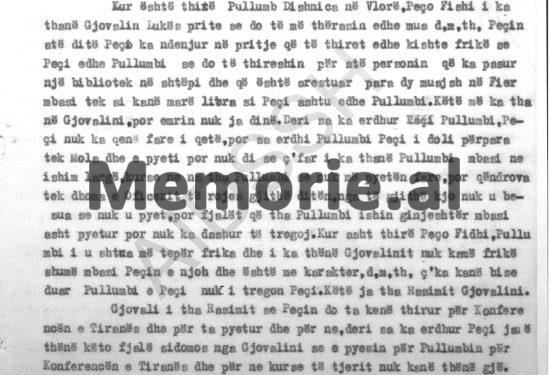 “Pëllumb Dishnica tha se në ‘Pallatin e Brigadave’ ku është kuzhinieri i Zogut, udhëheqësit me familjet e tyre…”/ Përgjimet e të internuarve në Ishullin e Zvërnecit