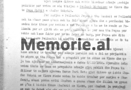 “Gjovalin Luka thotë se: Partia e Punës Shqipërisë, kërkon sot Kosovën që ta djeg dhe të vuaj edhe populli i saj, si ai i Shkodrës…”/ Përgjimet në Ishullin e Zvërnecit
