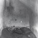 “Todi Lubonja says with mockery; ‘mother’ girlfriend, convicted us and she has provided us with optimal conditions and takes care of… ”/ Interceptions in Burrell Prison, December ‘81