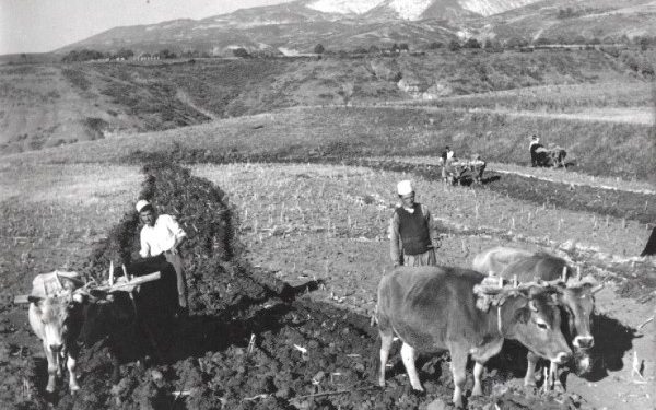 “Unë nuk them që Liria të bëhet murgeshë, të mos dalë shëtitje, etj., por mënyra e saj…”! / Mbledhja e Byrosë, tetor ’60-të, kur “kryqëzohej” ministri i Bujqësisë