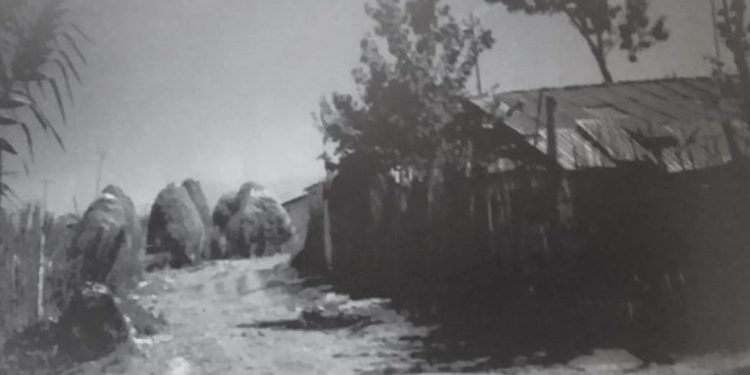 “Historitë e zonjave shkodrane që me strajca në krah, shkonin në këmbë në burgun e Burrelit, ku…”/ Rrëfimi i Fatbardha Mulleti Saraçi