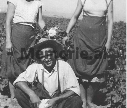 “Historitë tragjike të nanave shkodrane; Rozë Jakova, Fatime Dilaveri, Hatixhe Pipa dhe Marije Gjoka, të cilat…”/ Rrëfimi i Fatbardha Mulleti Saraçit