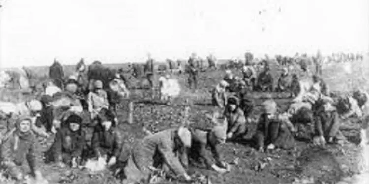 “Në vitet 1932 – ‘33, prej politikës së Stalinit, vdiqën nga uria e afro 7 milion ukrainas…”/ Dëshmia e Oleksandra Radchenko, që u persekutua për ditarët e saj
