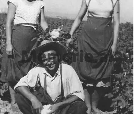 “Në Berat, komandanti i kampit, kapiten Pandi Anastasi, abuzonte me vajzat e internuara, duke…”/ Rrëfimi i Kristina Mark Gjomarkaj