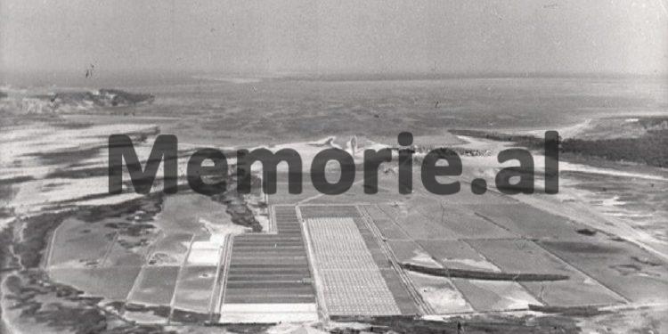 “Vlora, s’është si qytetet e tjera shqiptare, as në ndërtim dhe mënyrën e të jetuarit, ajo të jep përshtypje italiane, pasi…”!/ Çfarë shkruante udhëtari suedez, në ’35-ën