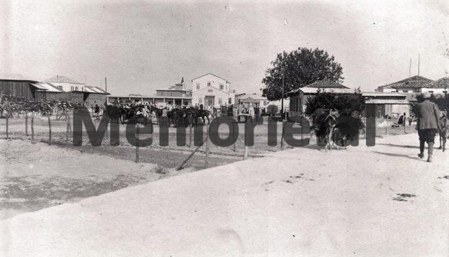 ”Kur qeveria e mësoi se disa pronarë banjash private në Vlorë, ua kishin rritur çmimin një grupi turistësh gjermanë…”/ Libri suedezit që vizitoi Shqipërinë në ’35-ën