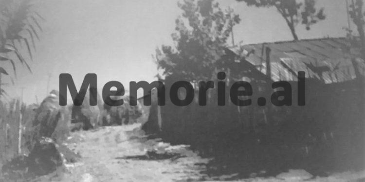 “Në Kampin e Semanit, Myrteza Bajraktari tha se: legata jugosllave e ka marrë vesh ngjarjen e plagosjes, pasi ajo nuk ruan lopët e dhitë, por…”! / Deponimet e bashkëpunëtorit “Paketa”!