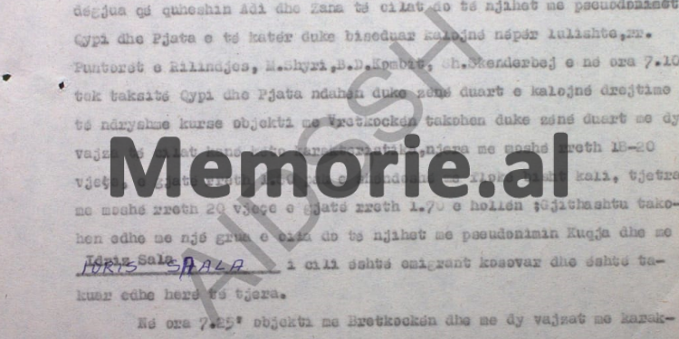 “Qypi” dhe “Pjata” ndahen, kurse objekti me “Bretkosën”, takohen me dy vajza të reja, njera e gjatë rreth 1 e 60, pak e shëndoshë, me flokët bisht kali…” / Raporti vëzhgimit i “Gama”, Tiranë, 1985