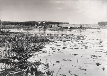 “Commander Tasi, Captain Zeneli, Sergeant Hitoja, Tetar Aliu, policeman Skënderi, were in constant competition with each other, who invents the most torture …” / Memories of the former prisoner, for “Swamp of Death”!